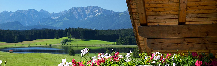 Urlaub im Allgäu, Ferienwohnung Böck